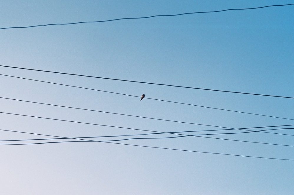 Como a internet das coisas cria oportunidades para a indústria brasileira