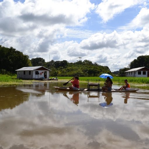 O lago do Januacá é uma das regiões escolhidas para estudar os impactos ambientais na Amazônia / Rodrigo Borges