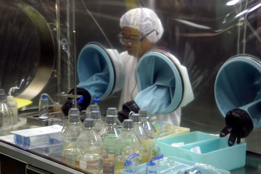 Roche e 100 Open Startups lançam desafio sobre oncologia