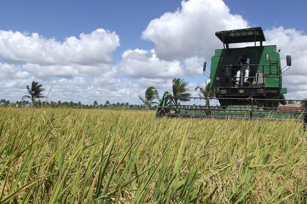 Cedro Capital e Embrapa buscam startups de agronegócio