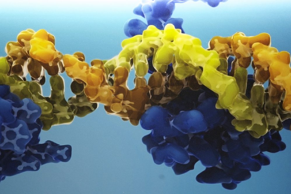 Boehringer Ingelheim oferece moléculas a pesquisadores