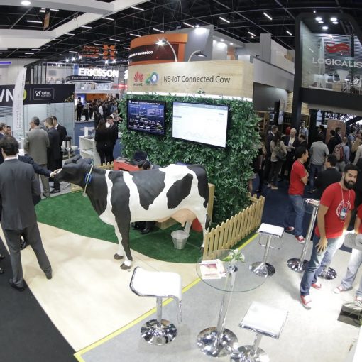 Entre as aplicações de IoT no agronegócio está a vaca conectada / Divulgação